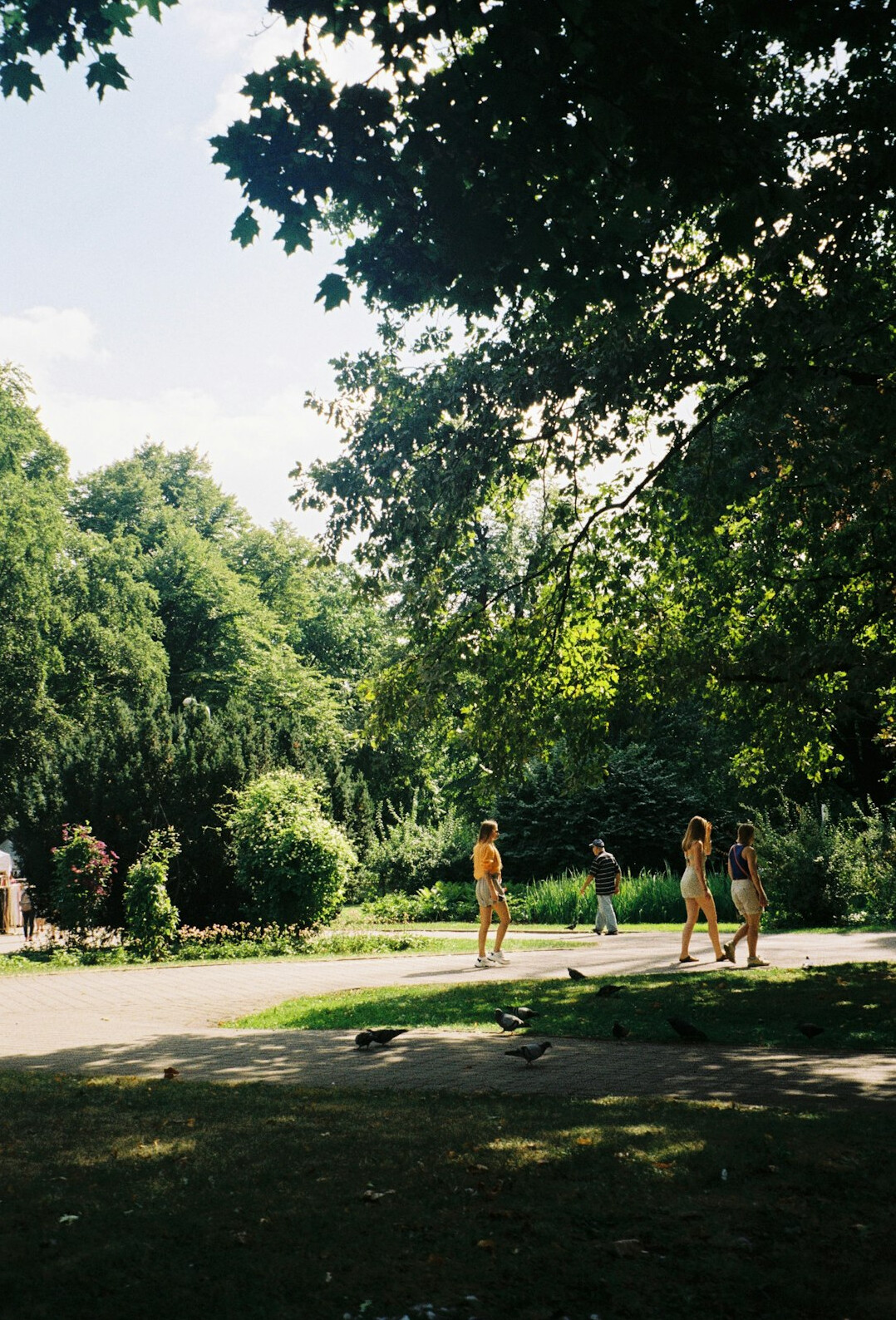 friends meeting in park
